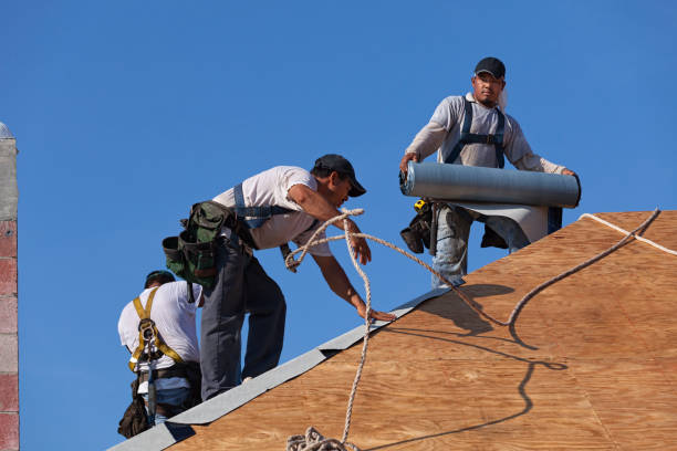 Best Flat Roof Repair Services  in Rush City, MN