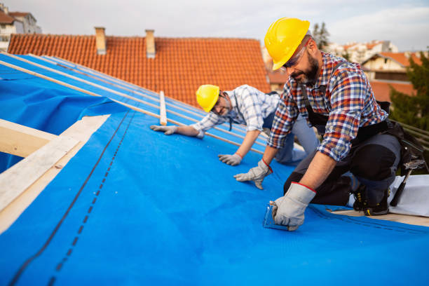 Best Roof Leak Repair  in Rush City, MN