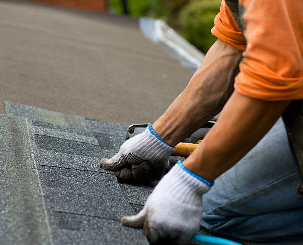 Best Commercial Roofing Services  in Rush City, MN