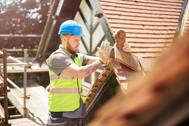 Best Roof Gutter Cleaning  in Rush City, MN